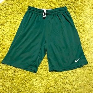 Nike Dri-fit shorts (size large)